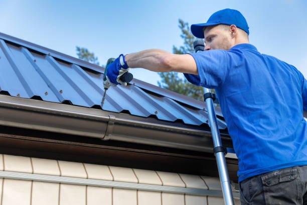 Best Roof Insulation Installation  in Detroit, MI