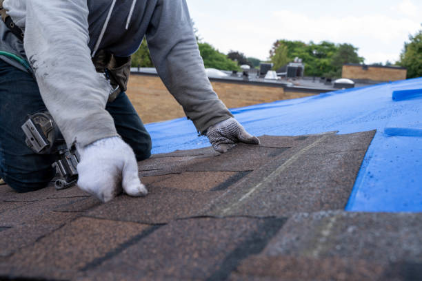 Fast & Reliable Emergency Roof Repairs in Detroit, MI
