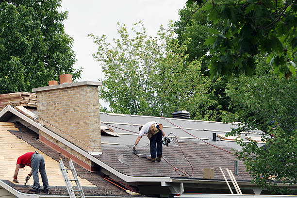 Best Solar Panel Roofing Installation  in Detroit, MI